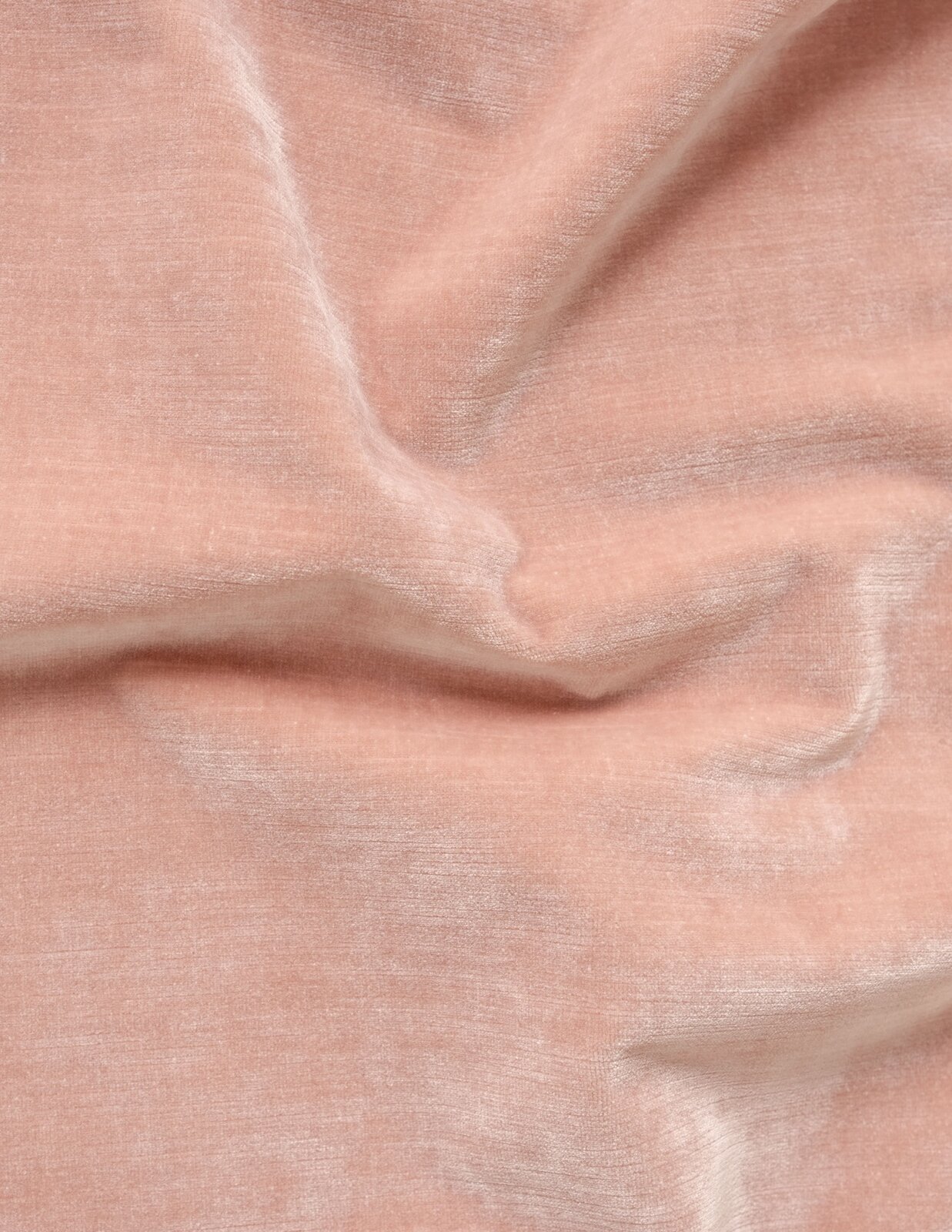 Velluto unito - h 140 cm - Rosa